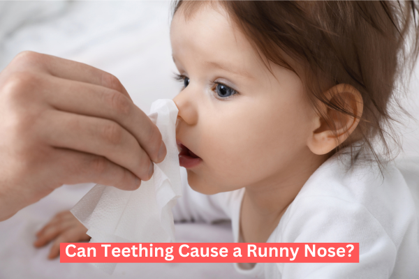 Can Teething Cause a Runny Nose